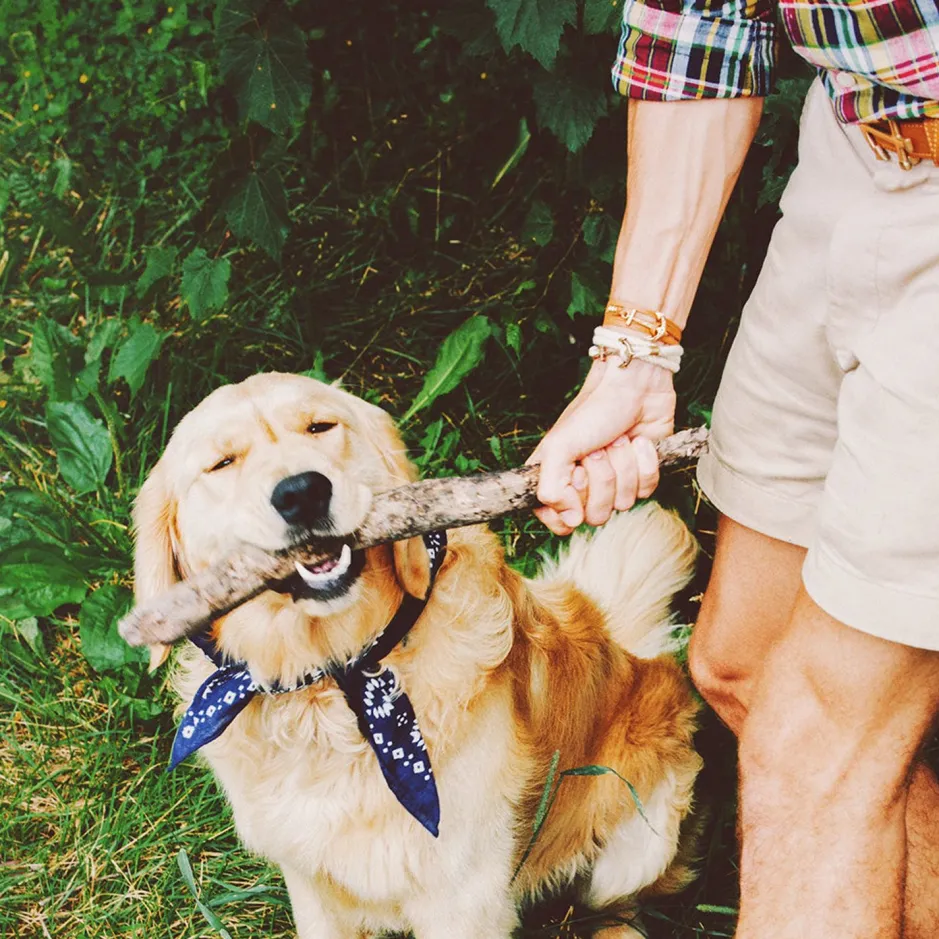 Wedding Gifts For Him^Kiel James Patrick Atlantic Whalers