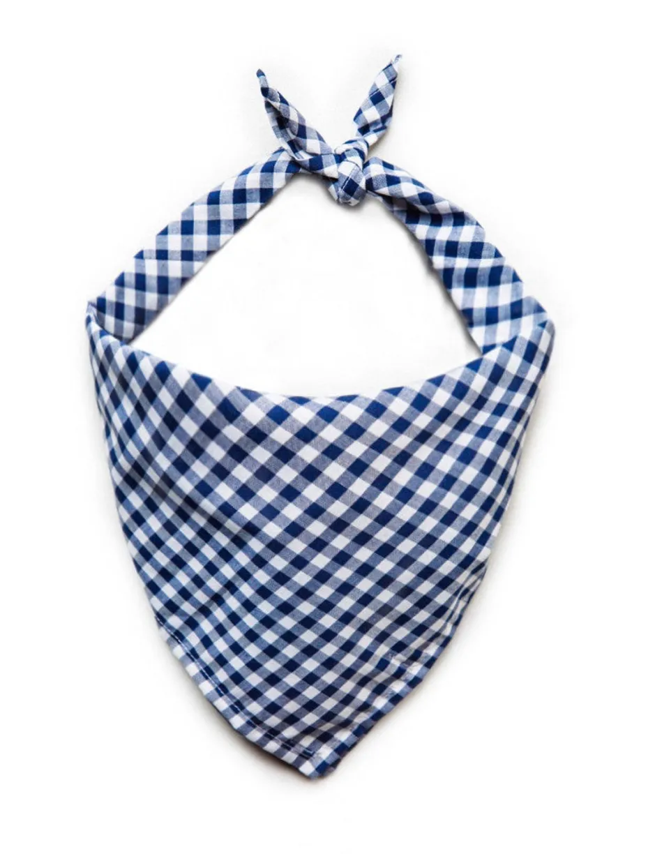 Adventure Bandanas^Kiel James Patrick Cape Cod Picnic Bandana