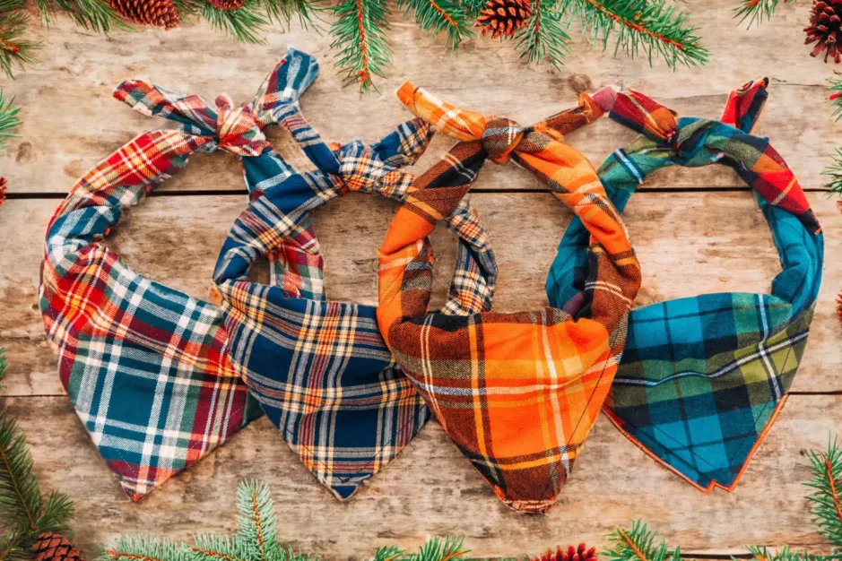 Adventure Bandanas^Kiel James Patrick Coziest Cabin Flandana