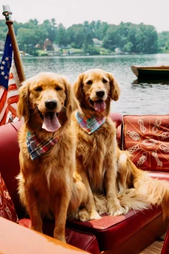 Adventure Bandanas^Kiel James Patrick Montauk Patchwork Madras Bandana