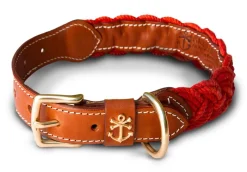 Leashes & Collars^Kiel James Patrick Narragansett Lifeguard Dog Collar