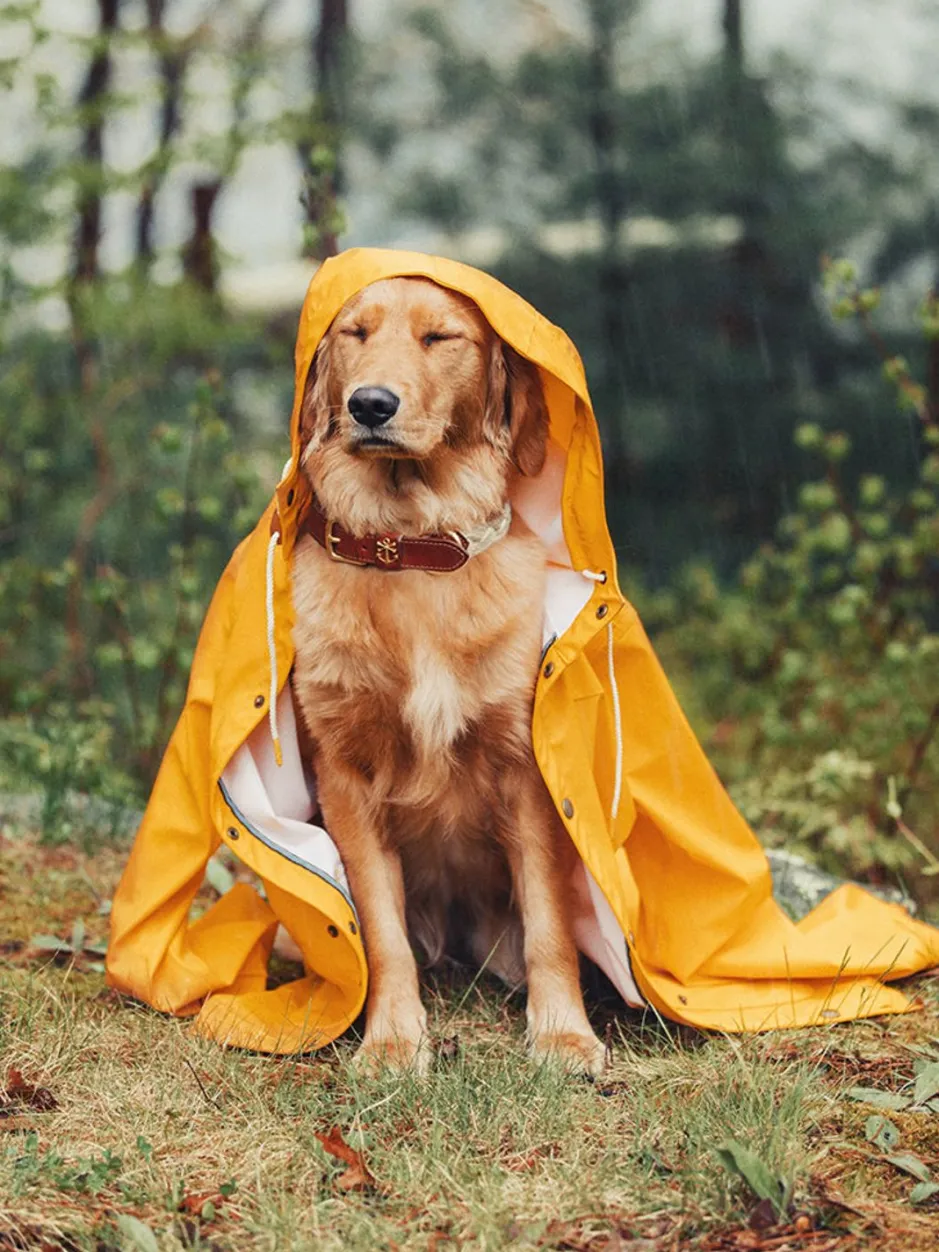 Leashes & Collars^Kiel James Patrick The Knotty Dog Collar- White