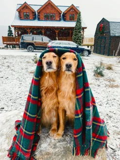 Blankets^Kiel James Patrick The Manchester Tartan Blanket
