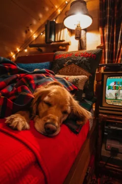 Blankets^Kiel James Patrick The Manchester Tartan Blanket