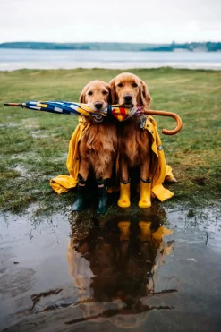 Umbrellas^Kiel James Patrick The Maritime Umbrella