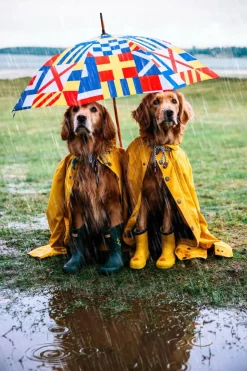 Umbrellas^Kiel James Patrick The Maritime Umbrella