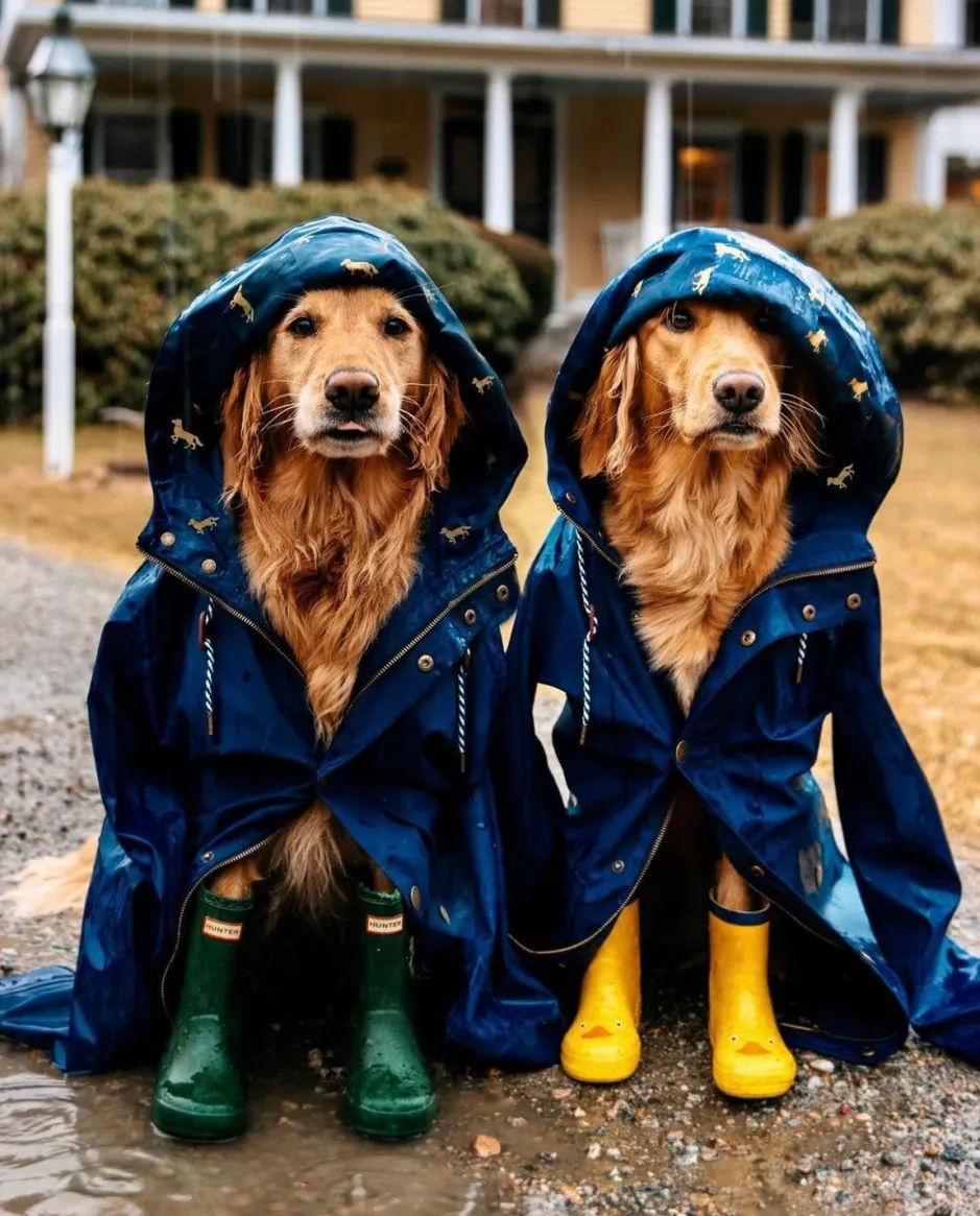 Outerwear^Kiel James Patrick The Old Salt Navy Raincoat- Men'S