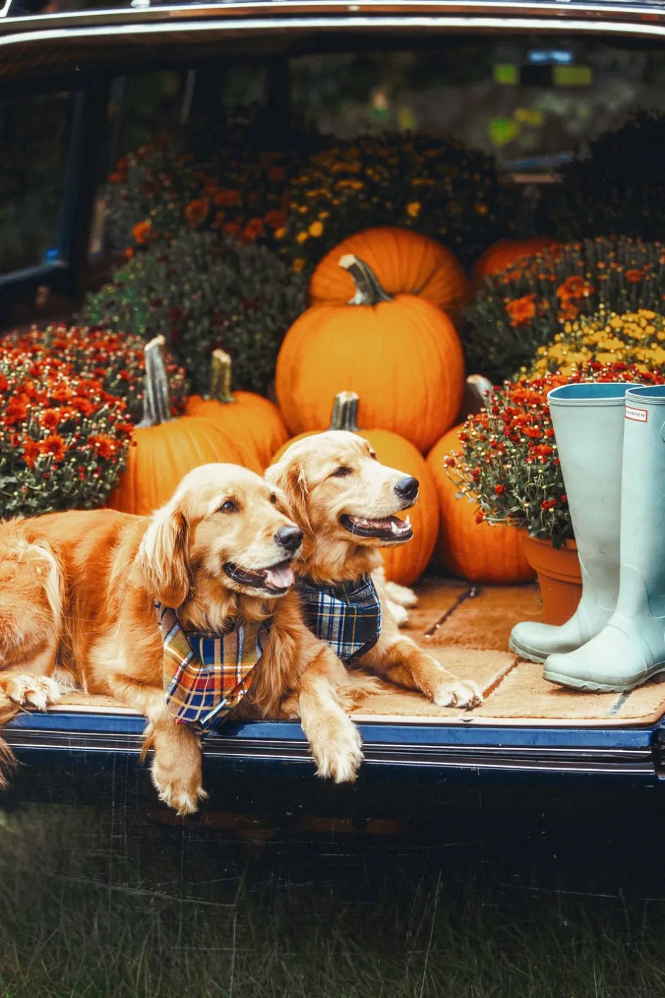 Adventure Bandanas^Kiel James Patrick Woodstock Country Store Flandana